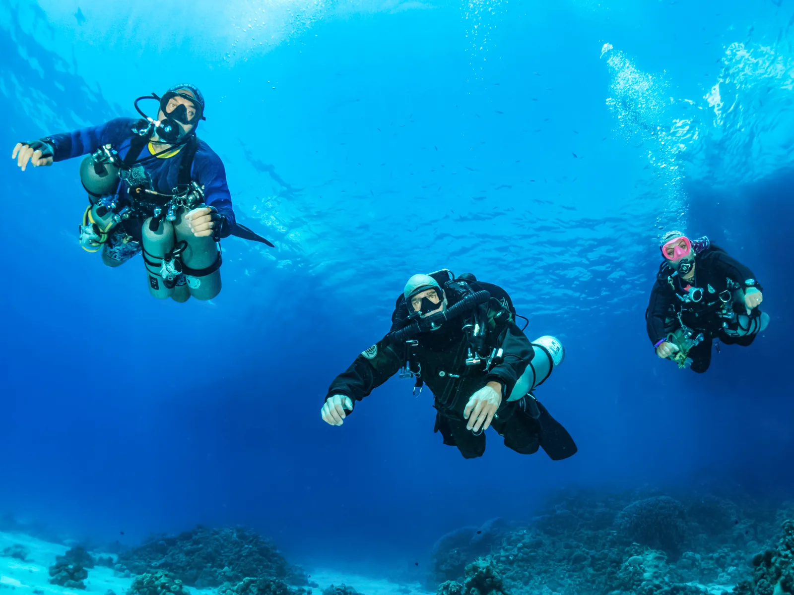 Two Double Wing Tek technical divers in twinset configuration over a Red Sea reef