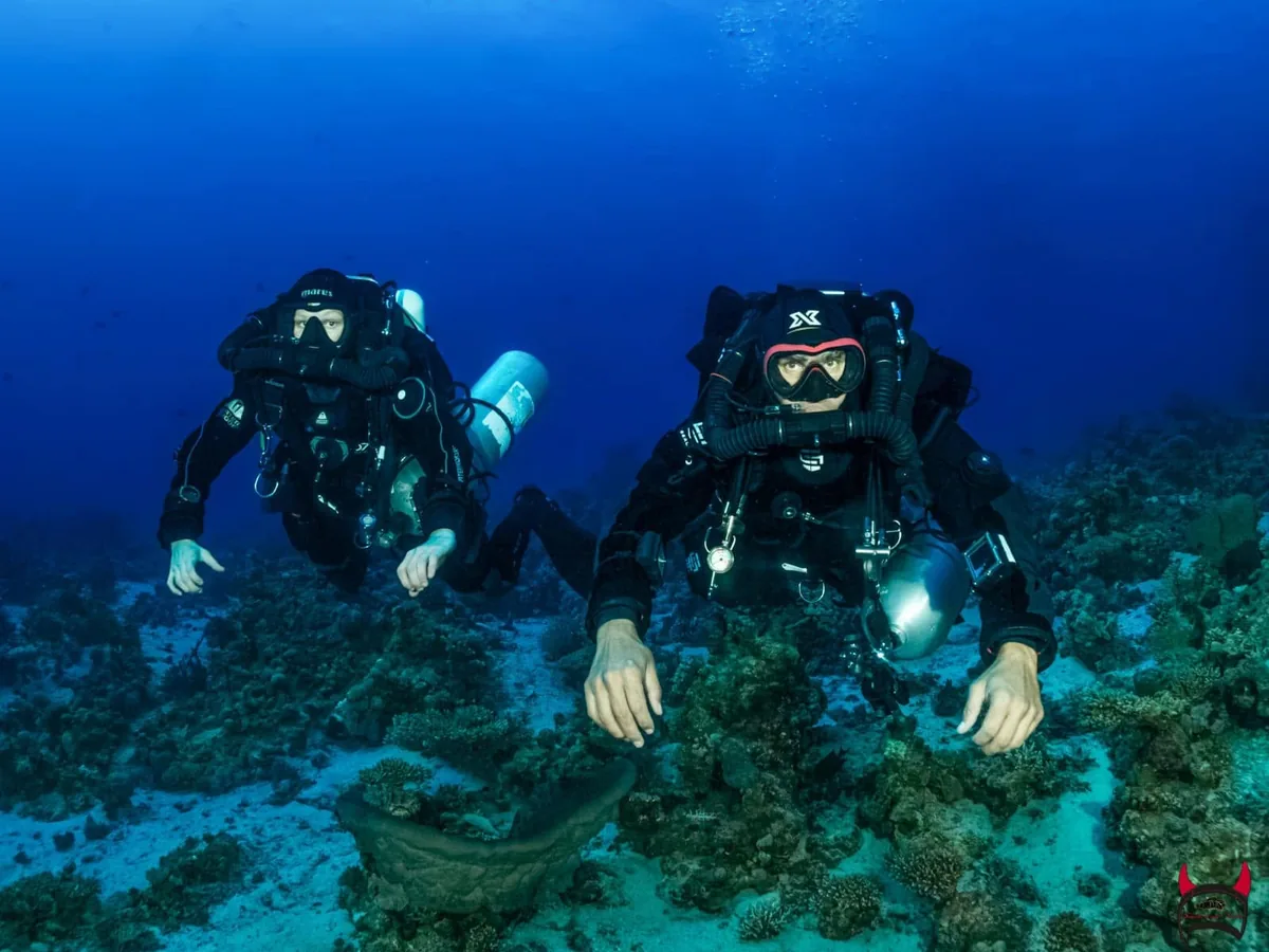 Two Double Wing Tek technical divers in twinset configuration over a Red Sea reef